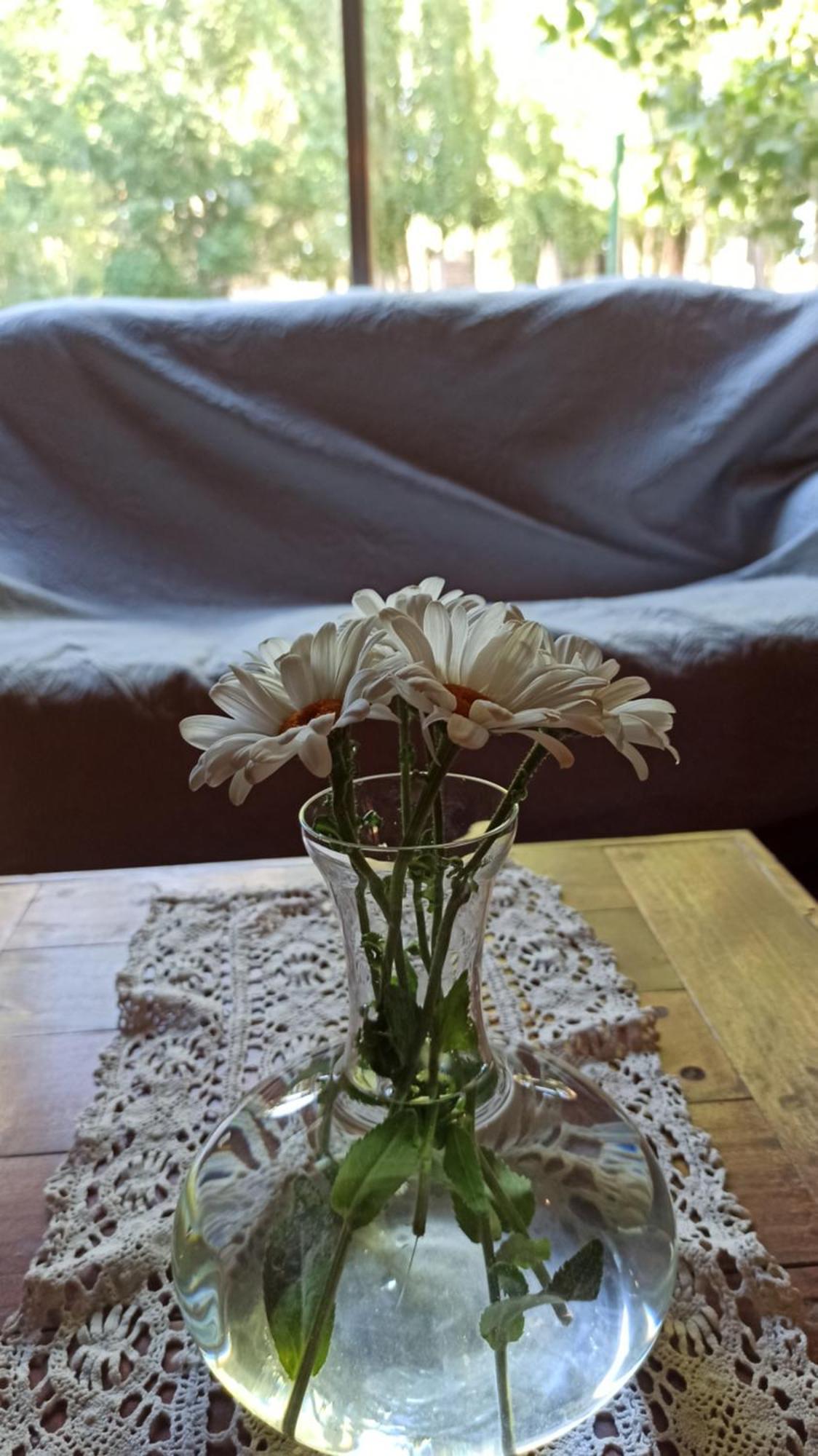 Hosteria Uspallata Exteriér fotografie